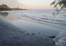 Encontraron el cuerpo de un hombre a orillas del Río en La Plata