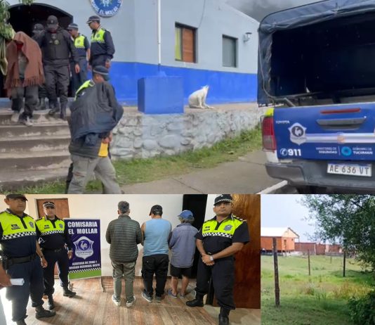 El Mollar: Intentaban construir en terrenos ocupados