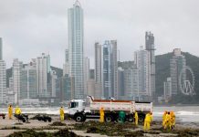 Florianópolis: cómo están las rutas de acceso a las playas tras las inundaciones