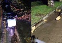 Volvía en moto del Festival de Jesús María, le cayó la rama de un árbol en la cabeza y murió