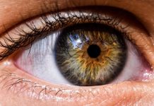 La vitamina esencial que ayuda a prevenir las cataratas, glaucomas y mejora la vista