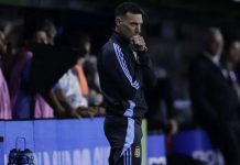 Qué piensa Scaloni de los que se vuelven a Argentina: ¿pierden terreno en la Selección?