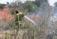 Corrientes también está bajo fuego: una maestra muerta y miles de hectáreas arrasadas por los incendios