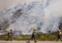 El intendente de El Bolsón aseguró que los incendios se están acercando a la ciudad