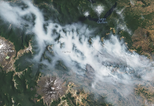 La NASA reveló impactantes imágenes desde el espacio de los incendios en el parque nacional Lanín