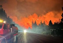 Patagonia: liberaron a seis acusados de iniciar los incendios en El Bolsón
