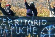 El Gobierno les saca tres predios a los mapuches y declarará a la RAM como organización terrorista