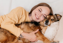 ¿Qué significa que una persona prefiera tener un perro en vez de un gato, según la psicología?