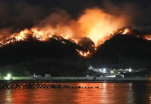 Japón lucha contra los peores incendios forestales en medio siglo