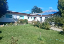 Alerta en la Patagonia: una joven murió por hantavirus en Chubut y hay cuatro personas aisladas