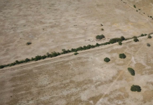 El Gobierno activó la emergencia rural en Chaco y Santa Fe tras los daños severos por sequía