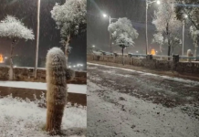 Jujuy fue sorprendido por la llegada de la nieve