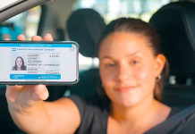¿Cómo será el sistema de multas con la licencia de conducir digital?