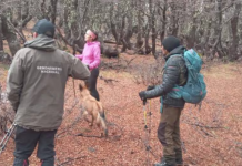 Buscan a dos mujeres que desaparecieron mientras hacían una excursión en El Bolsón