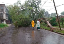 Misiones: Un temporal dejó destrozos en diversas localidades