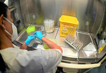 Suspendieron la elaboración de medicamentos de un laboratorio y ordenaron el retiro del mercado de sus productos tras un brote bacteriano