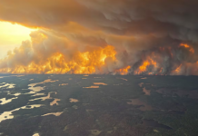 Canadá: miles de personas fueron evacuadas por una ola de incendios descontrolados
