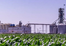 Piden por una nueva ley de biocombustibles