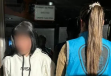 Cayó una mujer acusada de haber estafado a ocho familias: ofrecía casas por $1 millón y nunca las entregaba