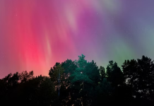 Emitieron una alerta mundial por tormentas solares