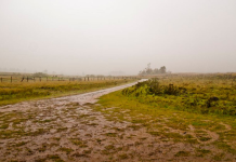 La mayor parte de la región agrícola recibirá lluvias escasas durante los próximos días