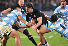 Los Pumas cayeron en el ranking de selecciones y se complicó la situación rumbo a la próxima Copa del Mundo