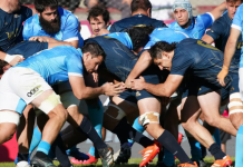 Los refuerzos que tendrían Los Pumas con vistas al Rugby Championship
