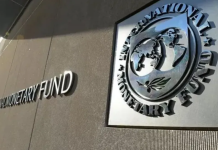 El FMI estima que Argentina tendrá un crecimiento del 5,5% en 2025