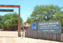 Buscan a un guía turístico argentino que se perdió en Paraguay mientras hacía una excusión
