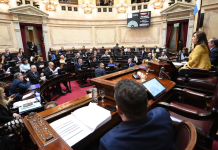 La oposición busca rechazar en el Senado el veto a la emergencia en discapacidad y regular los DNU