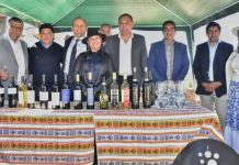 Tucumán fortalece lazos con Portugal y potencia el desarrollo productivo en los Valles Calchaquíes