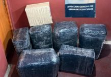 Operativo Lapacho: descubrieron 100 kilos de hojas de coca contrabandeada