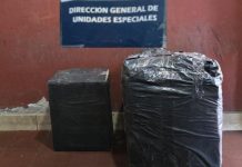 En un control fronterizo incautan 15 kilos de hojas de coca