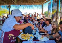 Fin de semana en Tucumán: ¡Una provincia que vibra!