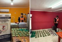 Incautan 90 kilos de hojas de coca en diferentes controles fronterizos