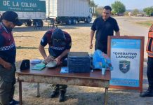 Incautan más de un kilo de marihuana enviada por encomienda