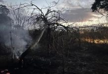 Quema de pastizales: Sofocaron un incendio en Burruyacú