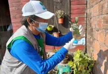 Dónde se realizarán operativos para prevenir el dengue, del 1 al 3 de octubre