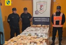 en un control de rutina descubren 500 millones de pesos en efectivo en una camioneta