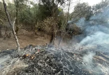 El equipo de Incendios Forestales de la ciudad de Yerba Buena logró contener un incendio que amenazaba con avanzar hacia la zona de las yungas