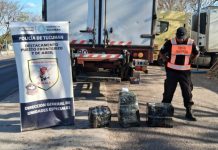 En controles fronterizos incautan casi 200 kilos de hojas de coca