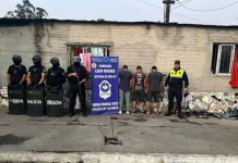 Secuestran armas vinculadas a amenazas y elementos ligados al abigeato