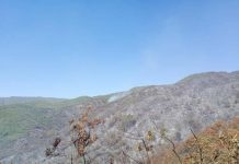 Intensas tareas para controlar el incendio en el cerro Kiko