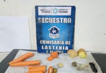 Intentó pasar droga oculta entre zanahorias y cebollas