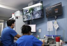 Cuatro pacientes que recibieron trasplantes recibieron el alta institucional