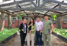 Realizaron la jornada “Sembrando salud” con la donación de plantines