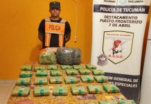 Secuestran 80 kilos de hojas de coca en puestos fronterizos