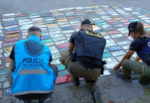 Córdoba: desmantelaron un búnker donde falsificaban patentes para vender