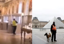 El video del robo en el Louvre: un turista filmó a uno de los ladrones cuando rompía una vitrina con las joyas
