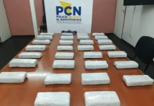 Mendoza: incautan 90 kilos de cocaína y 80.000 dólares en un golpe al narcotráfico
